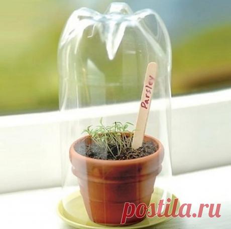 10 садовых хитростей для продвинутых дачников | На грядке (Огород.ru)