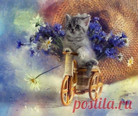 (1) Mis Flores