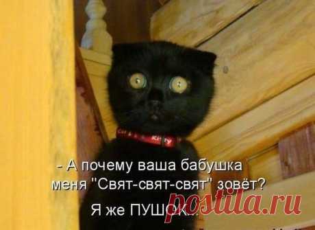Декор для сада, интерьера в Волгограде