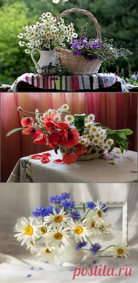 Подарил тебе букет из ромашек…, каюсь.