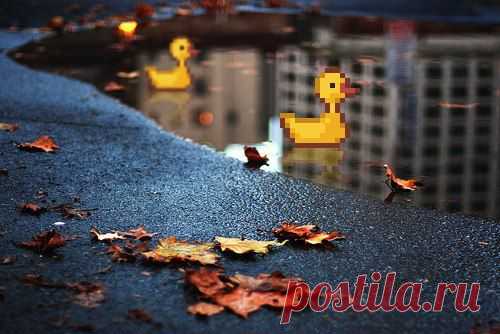 .pixel
Фотографии на стене сообщества | 8 849 фотографий