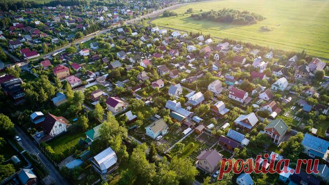Выращивание могильника на участке может грозить уголовной ответственностью