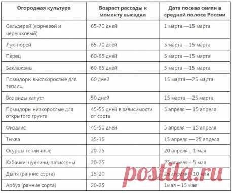 (82) Одноклассники