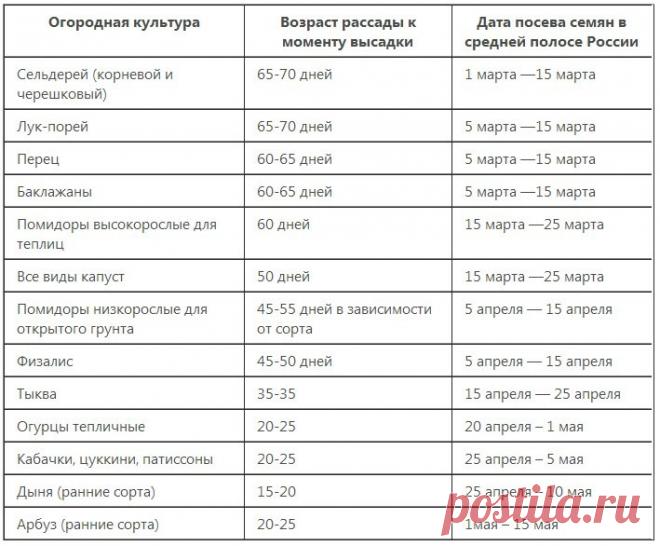 (82) Одноклассники