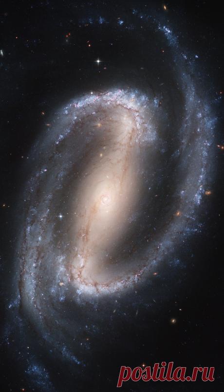 Kevin — astronomicalwonders: A Spiral within a Spiral -...