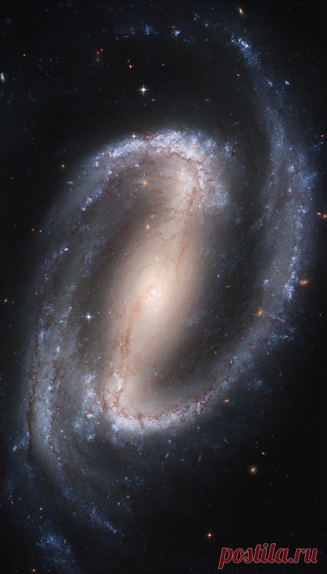 Kevin — astronomicalwonders: A Spiral within a Spiral -...