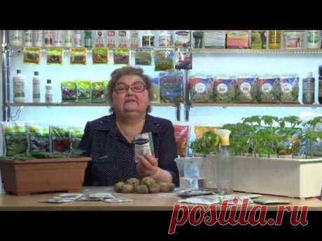 Применение "Фитоспорин-М" Порошки