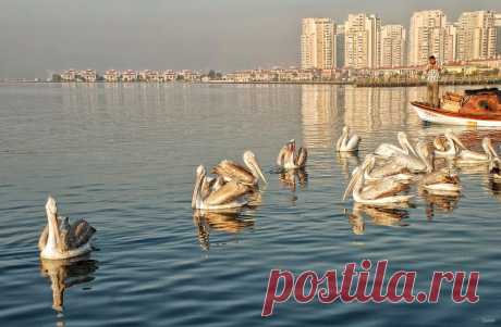 Valued guests - Image &amp; Photo by Canan Oner from Coastal areas - Photography (33187441) | fotocommunity