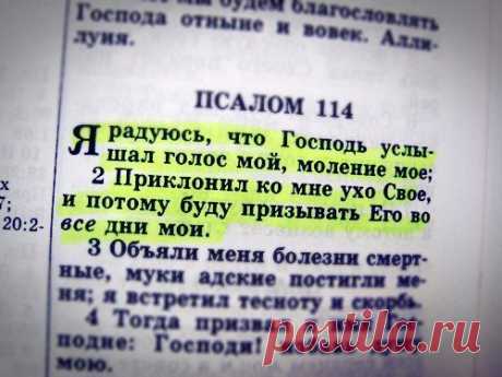 Новости