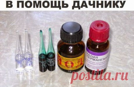 Умные Советы, идеи и мысли! – Google+