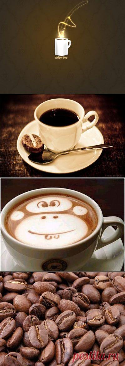 77 фактов о кофе