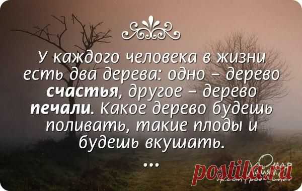 София Богомильская
