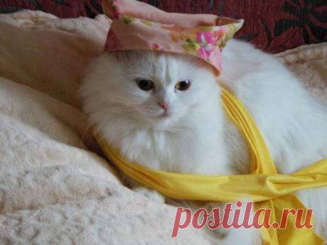 Одноклассники