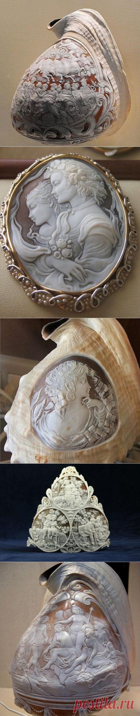 Глиптика по раковинам молюсков / Я - суперпупер