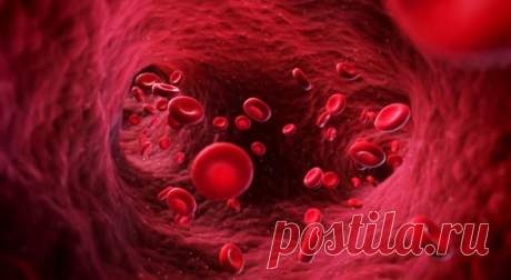 10 способов очистить сосуды народными средствами — Бабушкины секреты