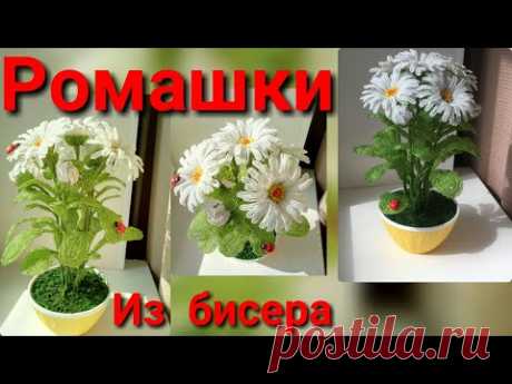 Ромашки из бисера. Мастер класс цветы из бисера своими руками
