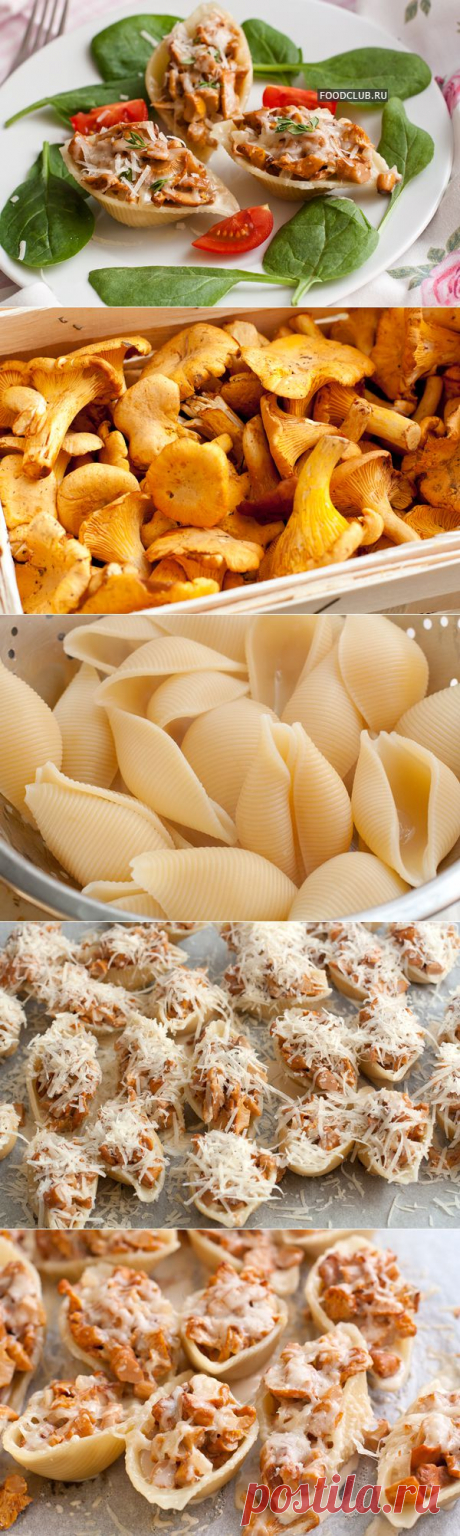 КОНКИЛЬОНИ С ЛИСИЧКАМИ.