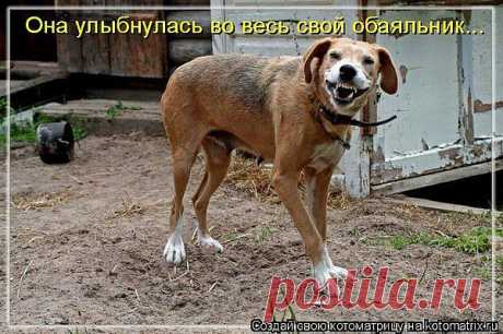 очаровательная улыбочка.....