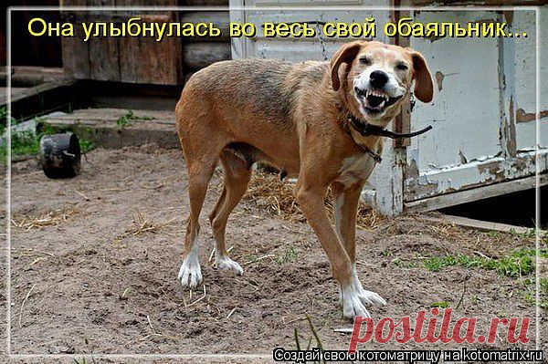 очаровательная улыбочка.....