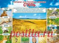 Плакаты природы и животных - Методические разработки