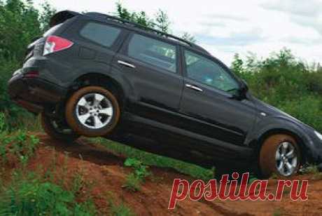 Тест-драйв Субару Форестер Лесник, тестд-райвы автомобилей Subaru Forester