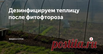 Дезинфицируем теплицу после фитофтороза Если в этом году в теплице был обнаружен фитофтороз на растениях, теплице требуется дезинфекция. Чем можно обработать теплицу? Можно ли использовать серную шашку?
При сильной пораженности растений болезнями дезинфекцию теплиц лучше проводить дважды – осенью и весной.
Для газовой дезинфекции можно использовать специальные дымовые шашки (ФАС), которые продаются в специализированных садовых магазинах