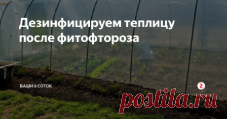 Дезинфицируем теплицу после фитофтороза Если в этом году в теплице был обнаружен фитофтороз на растениях, теплице требуется дезинфекция. Чем можно обработать теплицу? Можно ли использовать серную шашку?
При сильной пораженности растений болезнями дезинфекцию теплиц лучше проводить дважды – осенью и весной.
Для газовой дезинфекции можно использовать специальные дымовые шашки (ФАС), которые продаются в специализированных садовых магазинах