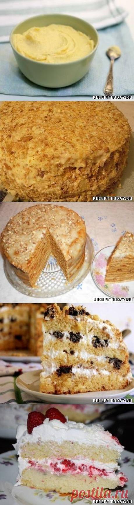 Рецепты тортов