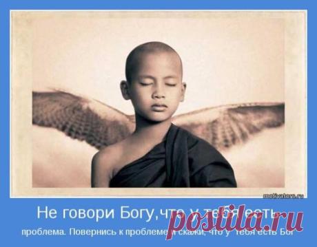 (51) Ирина Сокол - С праздником, дорогая!