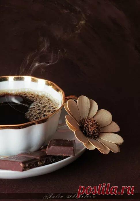 Мои картинки — Яндекс.Коллекции