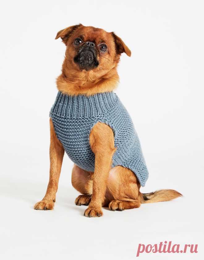 Dog's Life Coat | Wool and the Gang