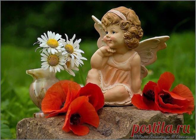 У КОГО КАКОЙ АНГЕЛ ХРАНИТЕЛЬ...