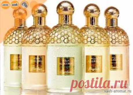 Холодная летняя груша. Скоро. Женский аромат Aqua Allegoria Pera Granita от Guerlain - 18 Января 2016 - Проект &quot;Ваш-Аромат.ру&quot;: духи, парфюмерия, тестеры