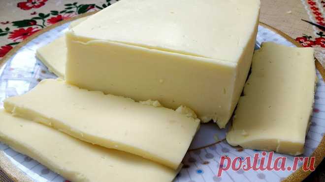 MUSSARELA CASEIRA SUPER FÁCIL🧀🧀 - Receitas de Amigas Aprenda a fazer muçarela caseira com poucos ingredientes e que rende muito! Receita bem fácil para economizar bastante. Essa receita transforma 200g de mussarela em quase 2kg de mussarela caseira. Incrível, né? Vem aprender a fazer e economizar muito. Essa receita está uma febre, muitas pessoas fazendo pois vale muito muito a pena, rende bastante, …