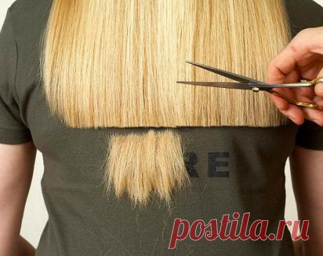 Осенний уход за волосами — Делимся советами