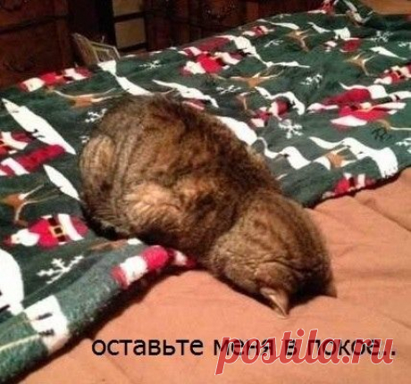 задолбало все(