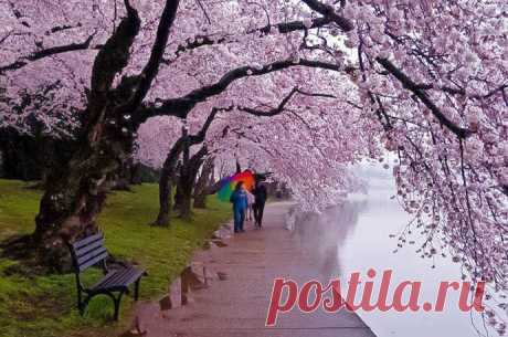 26 марта 2014 г.