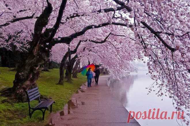 26 марта 2014 г.