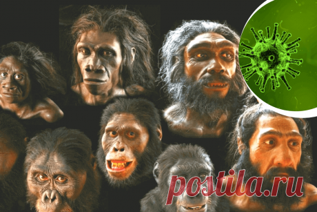 🔥 Исследователи говорят, что 8% генома человека – это эндогенные ретровирусы от древних инфекций, развивающихся с организмом
👉 Читать далее по ссылке: https://lindeal.com/research/issledovateli-govoryat-chto-8-genoma-cheloveka-ehto-ehndogennye-retrovirusy-ot-drevnikh-infekcij-razvivayushchikhsya-s-organizmom