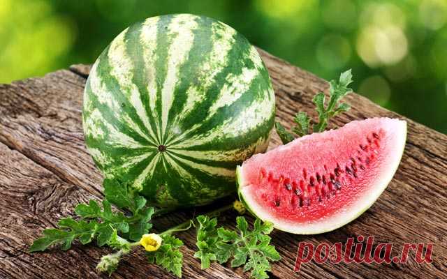 Как выбрать вкусный арбуз