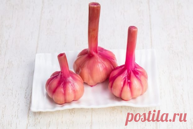 Маринованный чеснок головками со свеклой на зиму — Сад Заготовка