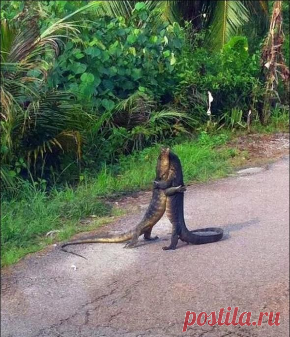 Фото,которые не оставят равнодушным