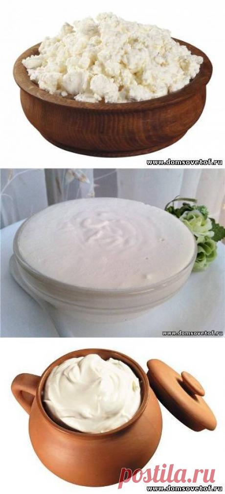 Здоровое питание. Как сделать домашние творог и сметану. Рецепты домашнего творога, сметаны и творожных десертов.