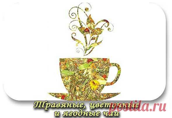 Травяные, цветочные и ягодные чаи – когда их пить и чем они полезны?