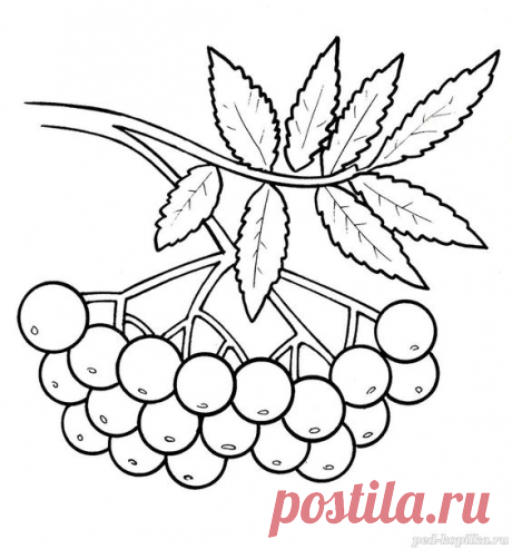 Pin page