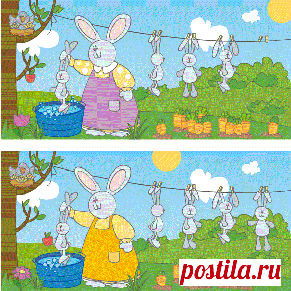 naxodilki_kupanie.gif (570×570)