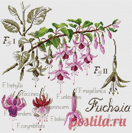 &quot;Хомячки&quot; | рукоделие | схемы | вышивка