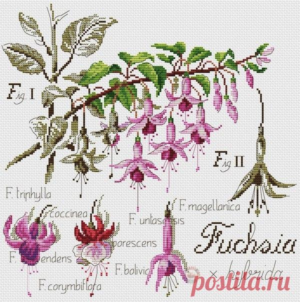 "Хомячки" | рукоделие | схемы | вышивка