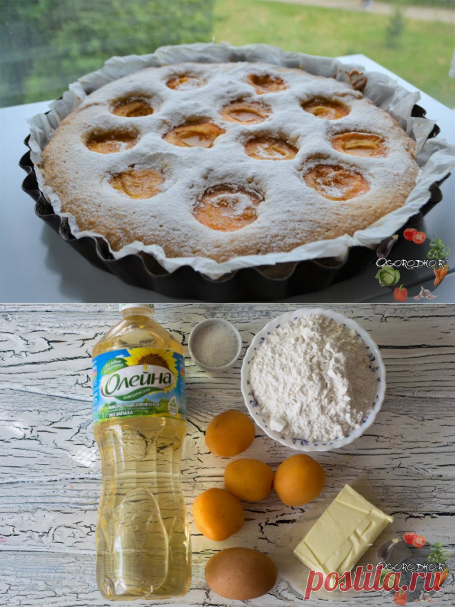 Пирог с абрикосами – простые и оригинальные рецепты вкусной выпечки + фото