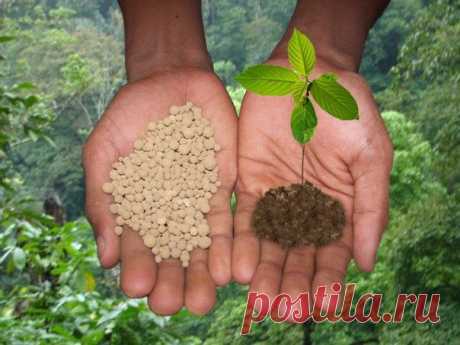 Сочетаемость различных удобрений